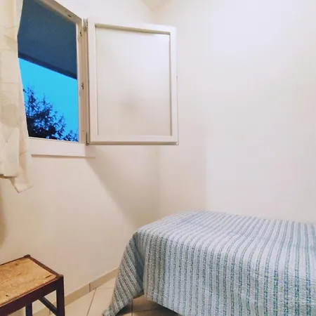 Bright And Cozy In