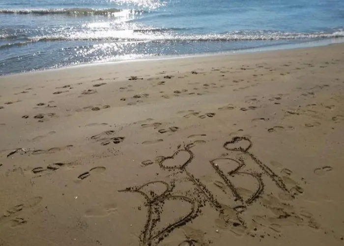 Bright And Cozy In Apartment